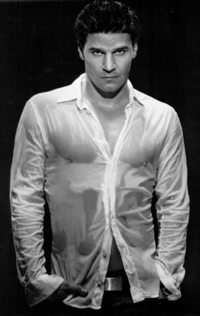 butch_8-david_boreanaz.jpg