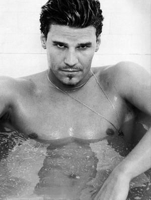 butch_9-david_boreanaz.jpg